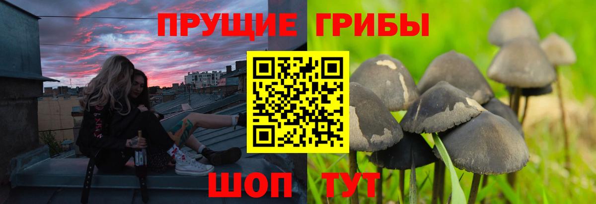 Псилоцибиновые грибы мухоморы Котлас
